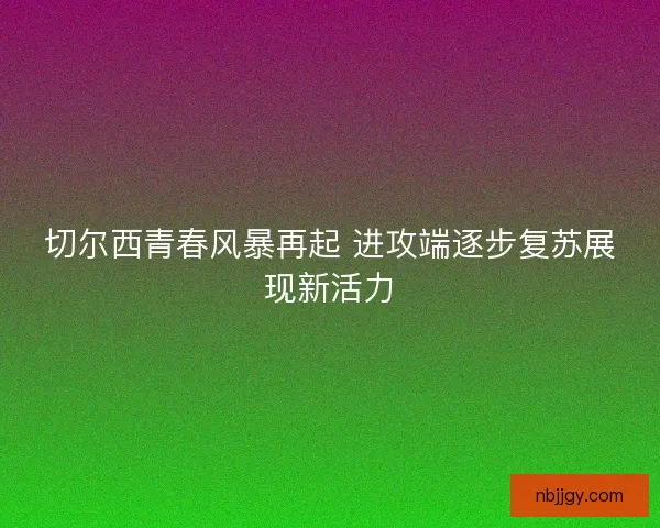 切尔西青春风暴再起 进攻端逐步复苏展现新活力