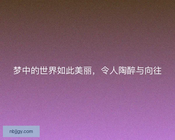 梦中的世界如此美丽，令人陶醉与向往