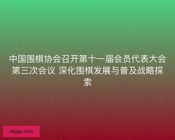 中国围棋协会召开第十一届会员代表大会第三次会议 深化围棋发展与普及战略探索